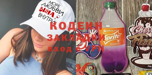 хмурый Алзамай