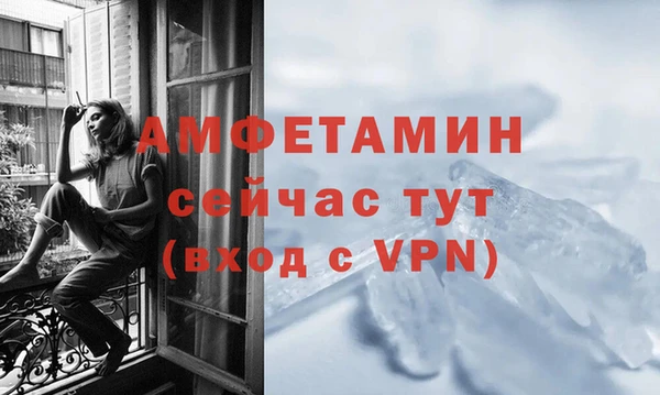 хмурый Алзамай