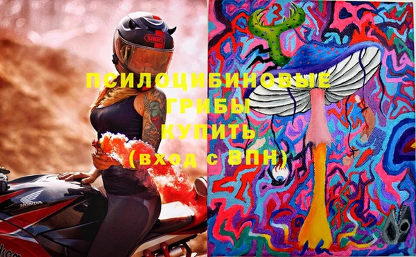 хмурый Алзамай