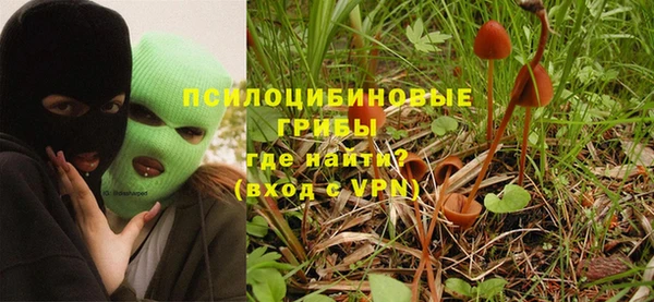 дмт Покровск