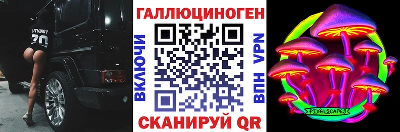 Псилоцибиновые грибы Psilocybe Томмот
